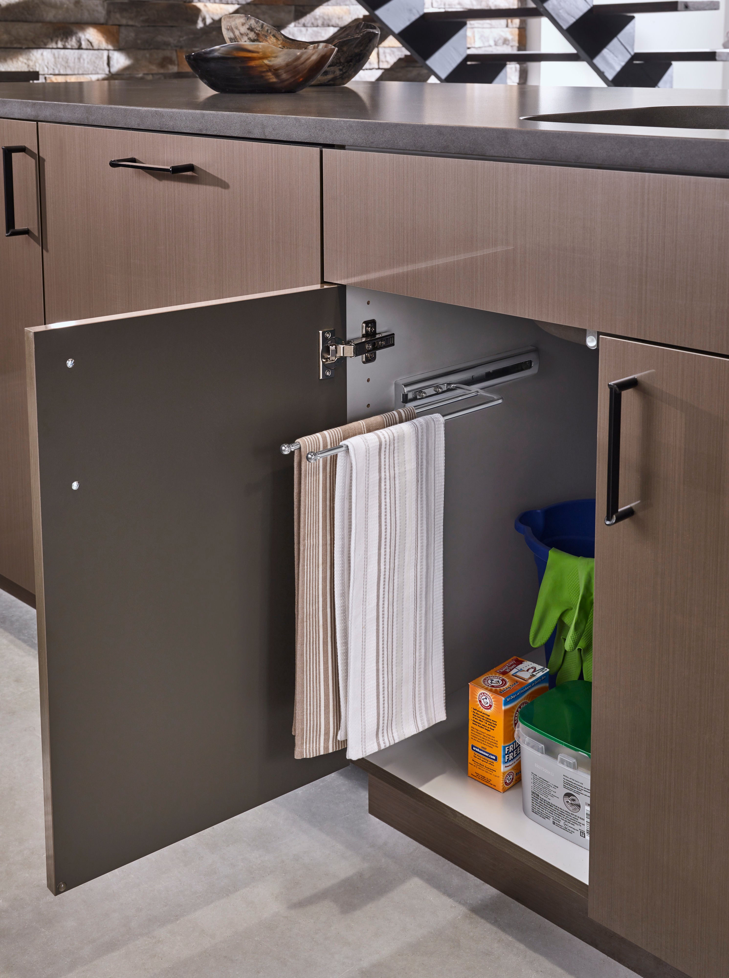 Chrome Undersink 2-Prong Pullout Dish Towel Bar