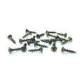 Oval Head Phillips Drive Screws