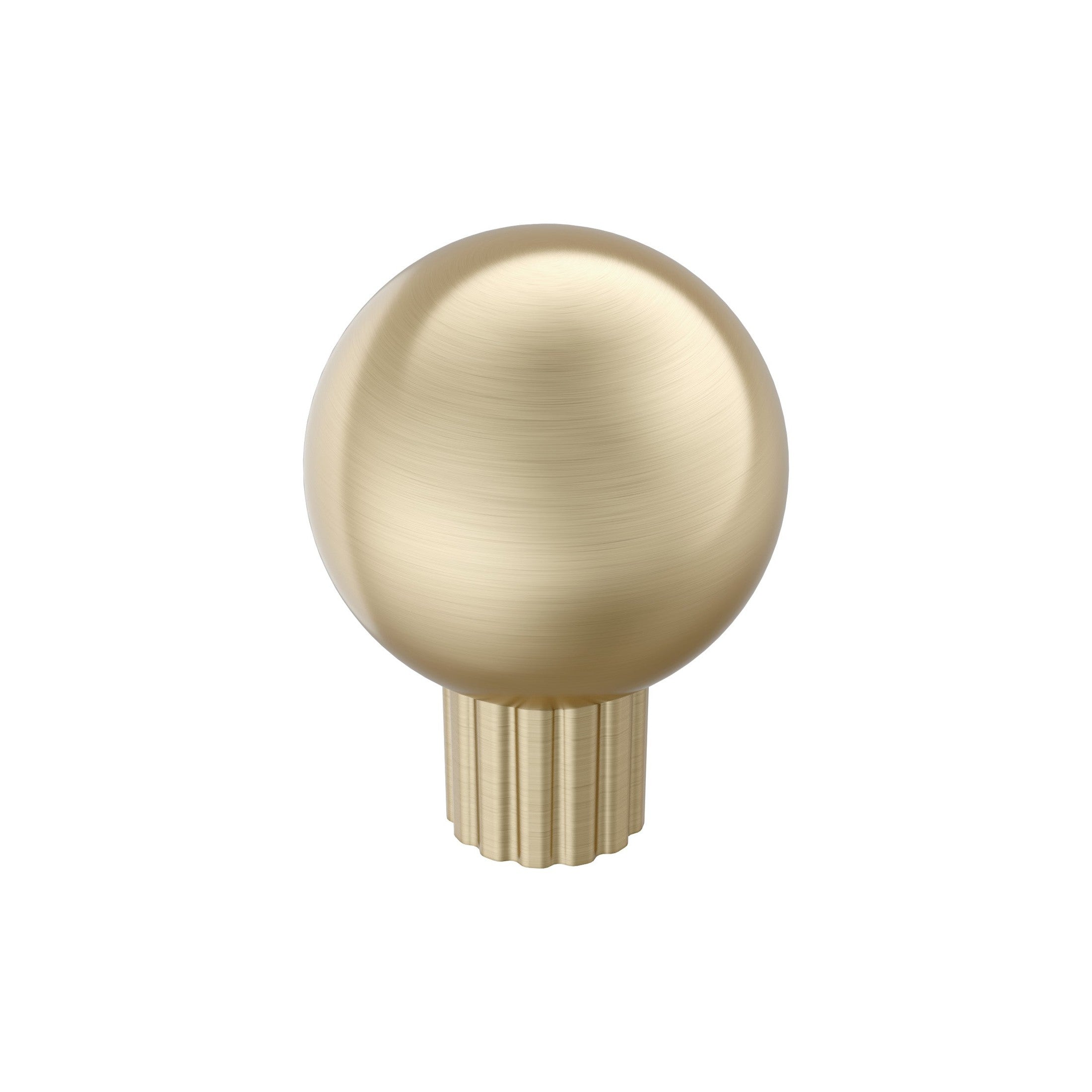 Cowrie 11/8 inch (29mm) Diameter Golden Champagne Cabinet Knob