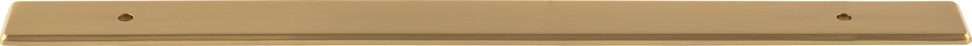 Top Knobs Radcliffe Series 8-13/16"(223mm) CC Backplate, Honey Bronze