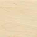 Arched Accent Canopy Hood